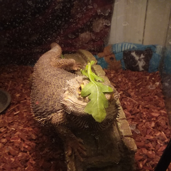 Meet your Posher, Annette - Picture 10 of 11